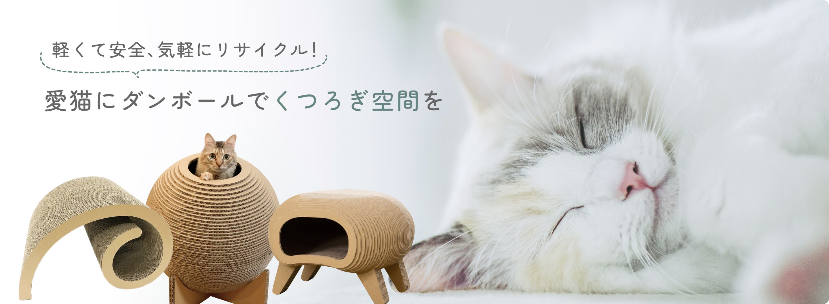 猫用品 – 9D -キューダ-｜九州ダンボール株式会社