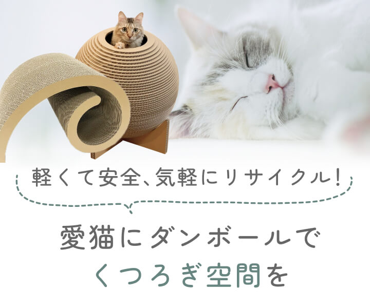 猫用品 – 9D -キューダ-｜九州ダンボール株式会社