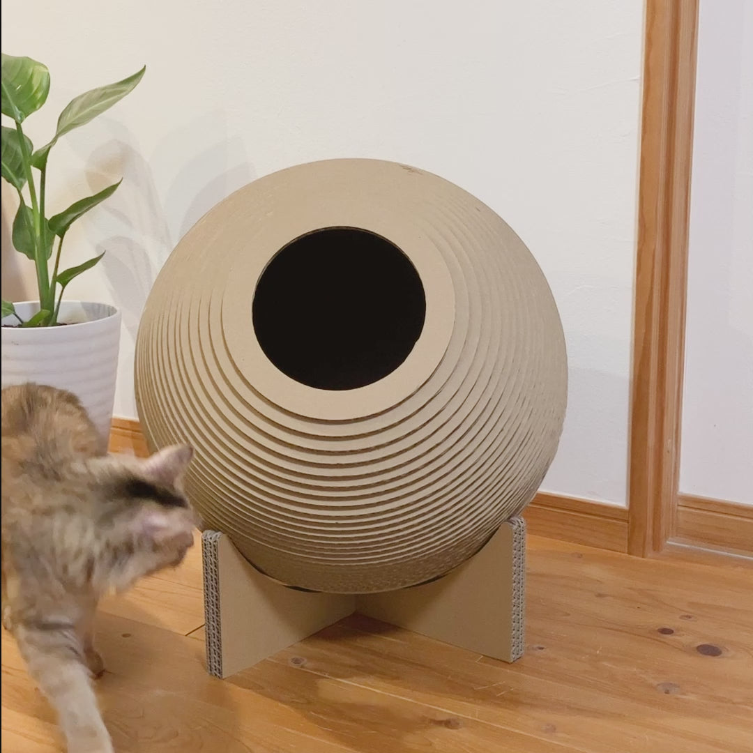 にゃんこプラネット – 9D -キューダ-｜九州ダンボール株式会社