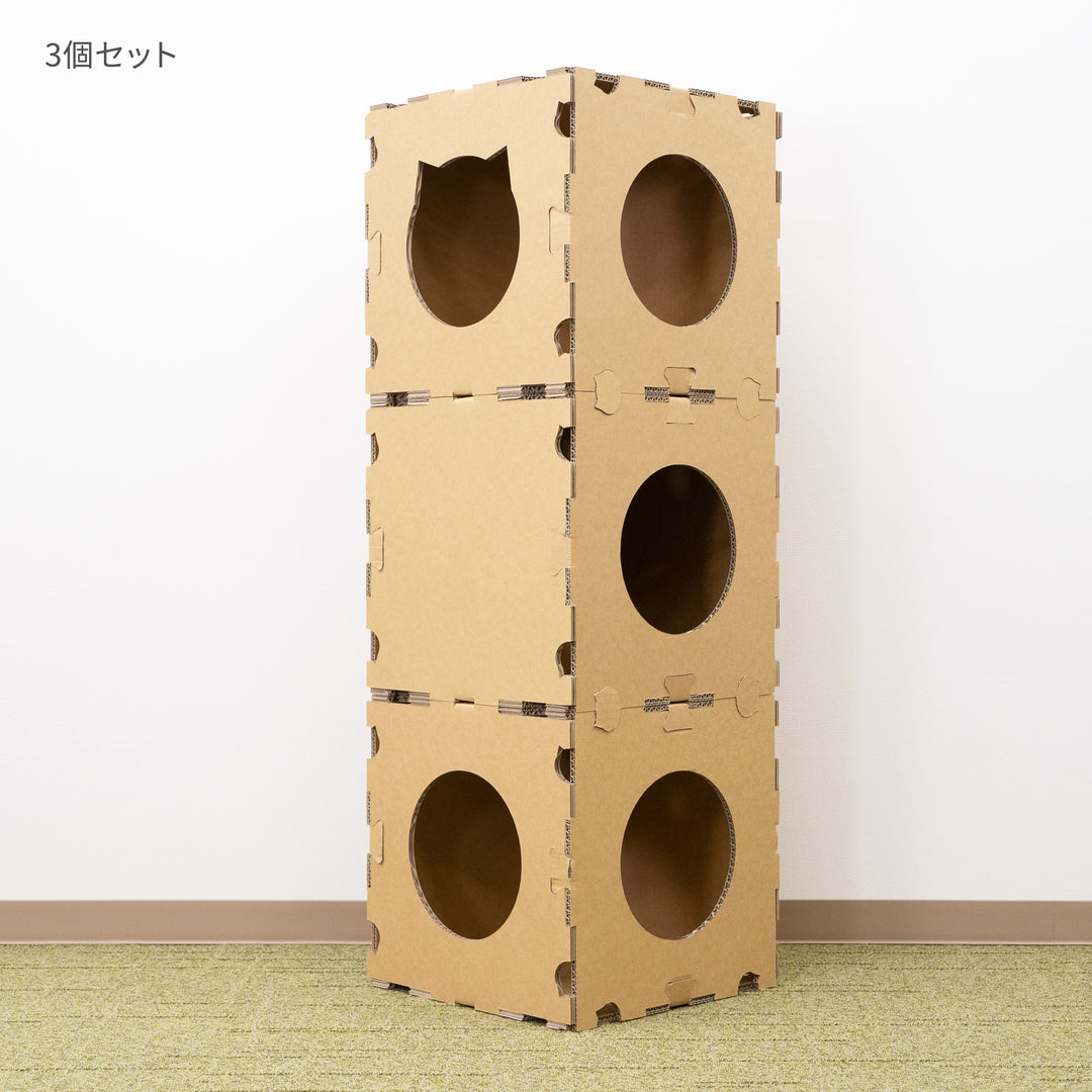 にゃんぐるジム – 9D -キューダ-｜九州ダンボール株式会社