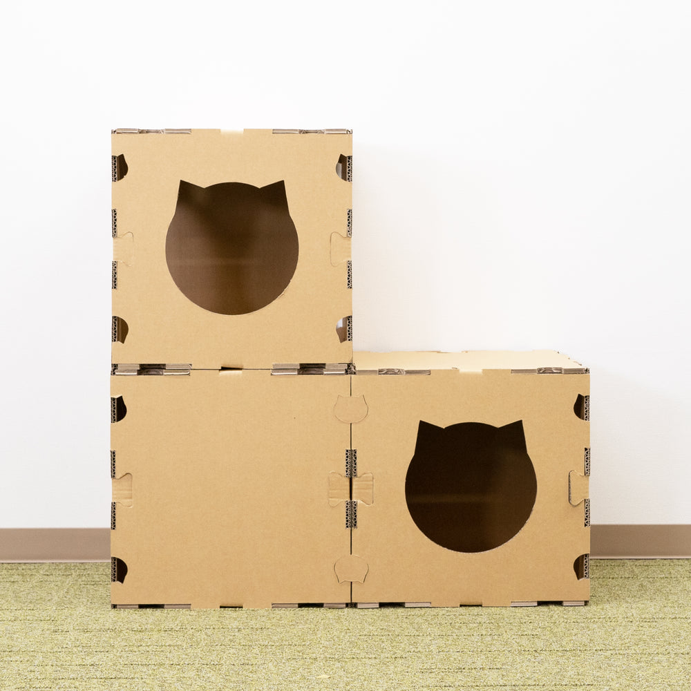猫用品 – 9D -キューダ-｜九州ダンボール株式会社