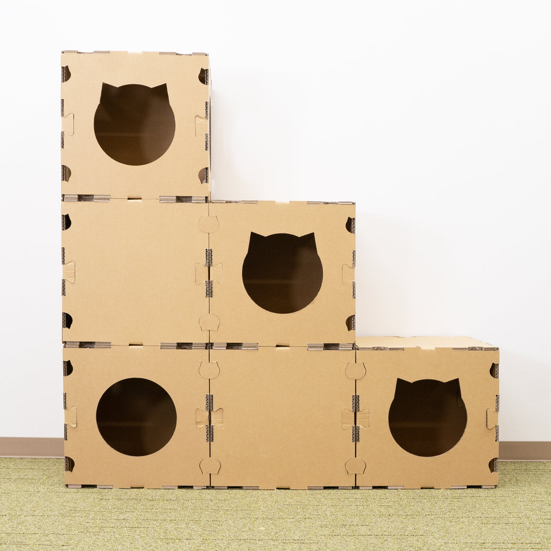 gym-6_1080x.jpg?v=1673312747