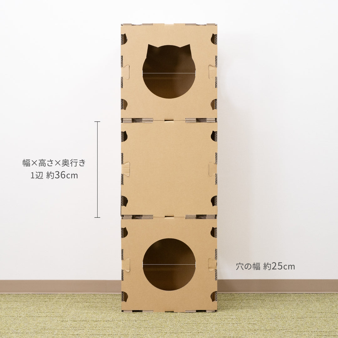 gym3-3_1080x.jpg?v=1673312747